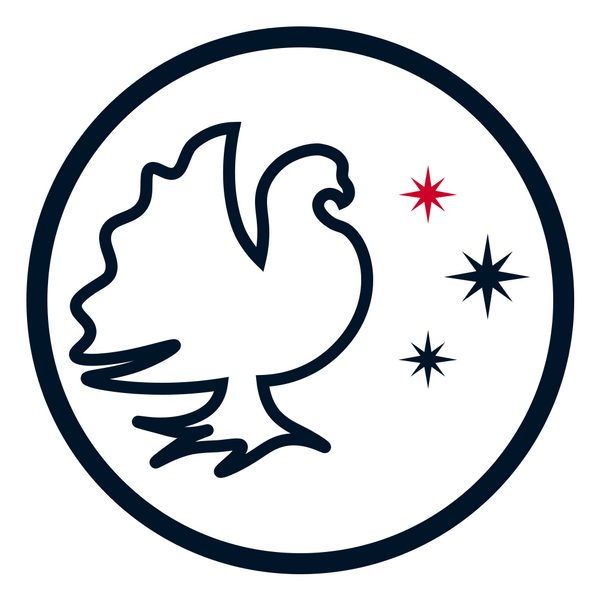 Mesland ® Company Official Store 